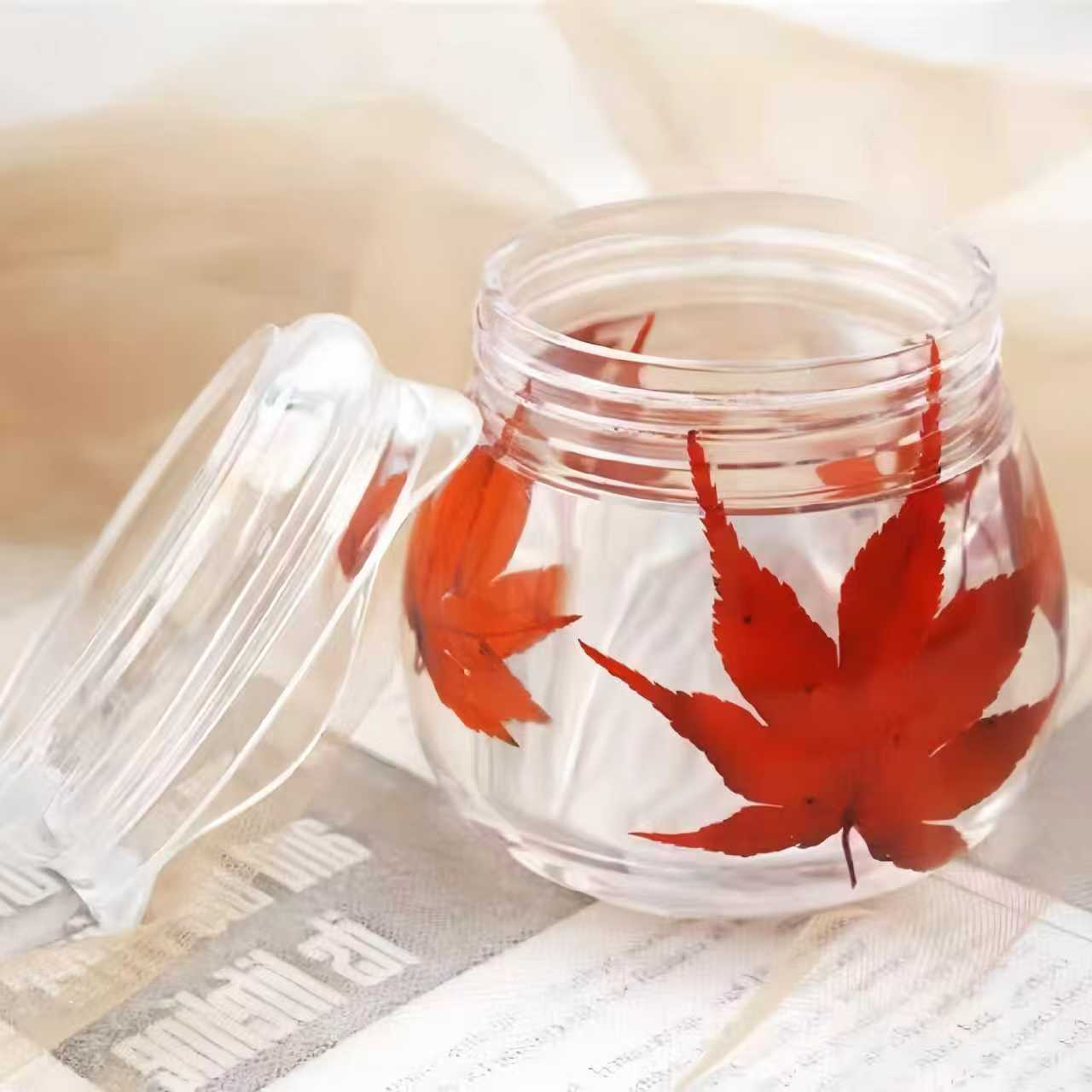 レジン作成用型-プリンカップケ一ス