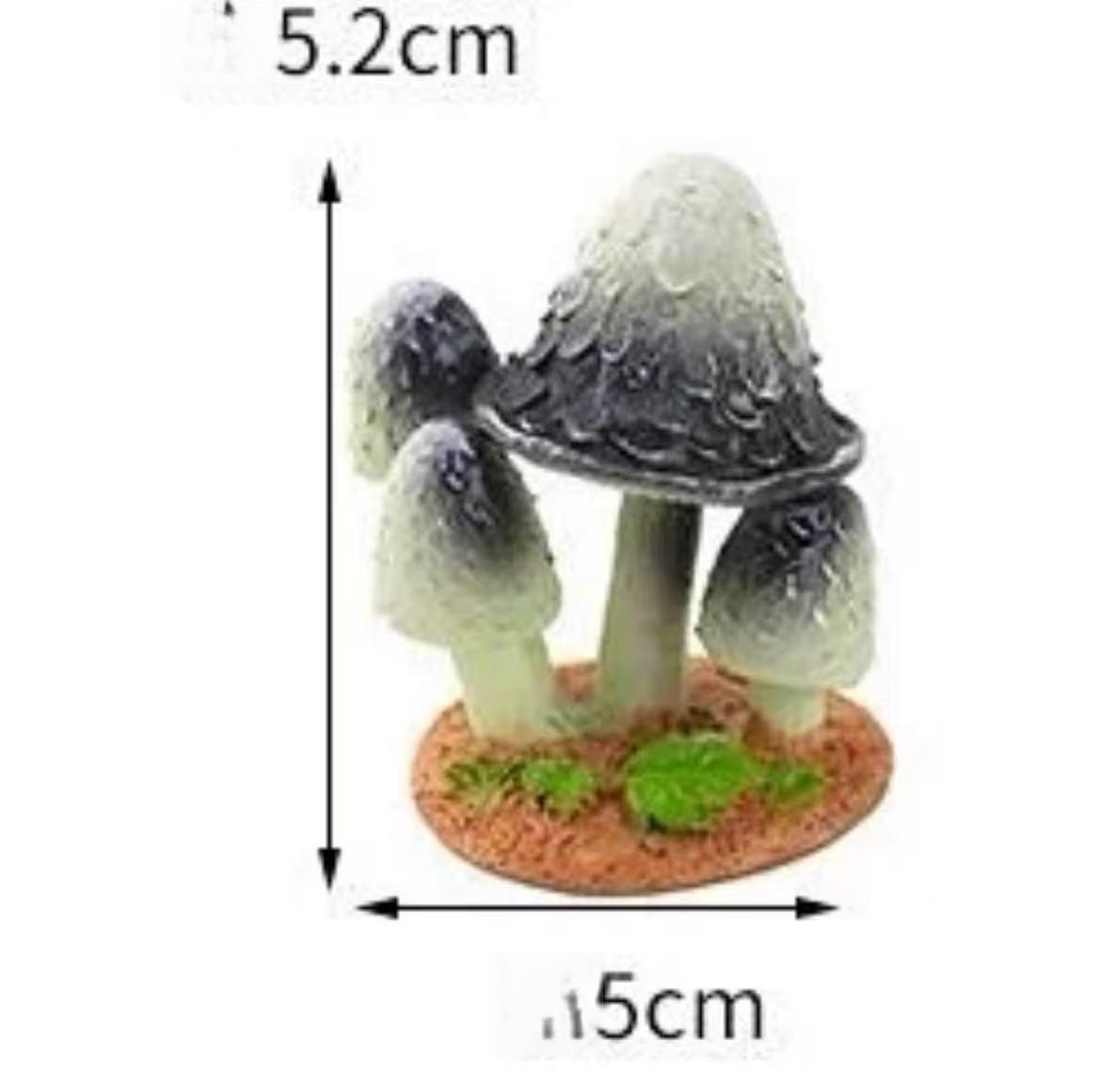 レジン作成用型-マッシコル一ムオプジエ