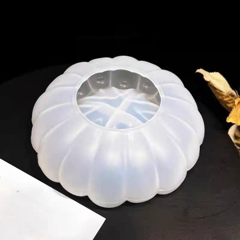 Resin molded coral storage box