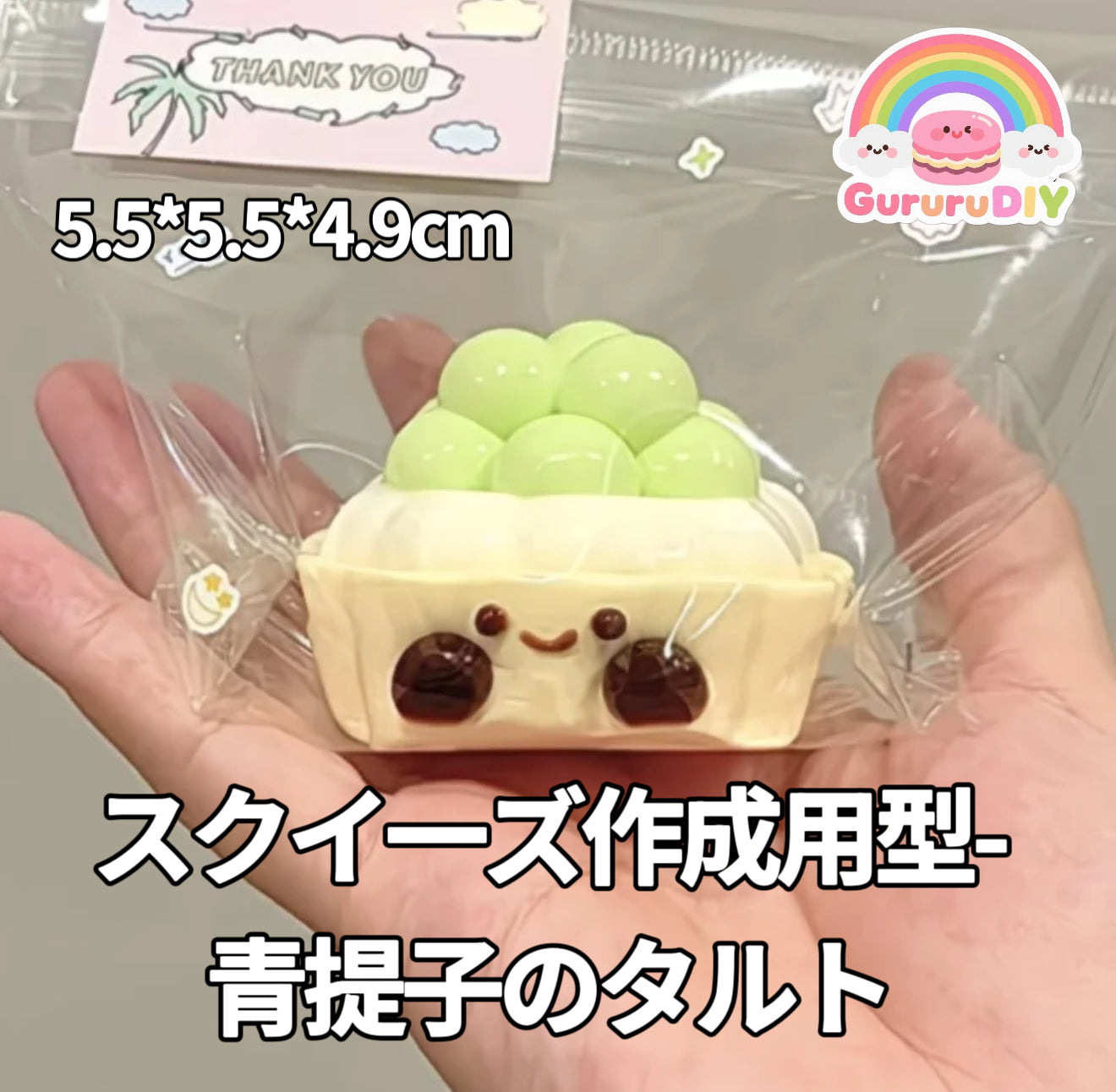 スクイ一ズ作成用型-青提子のタルト